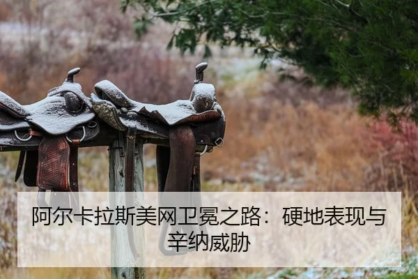 a-er-ka-la-si-mei-wang-wei-mian-zhi-lu-ying-di-biao-xian-yu-xin-na-wei-xie-2-311.jpg