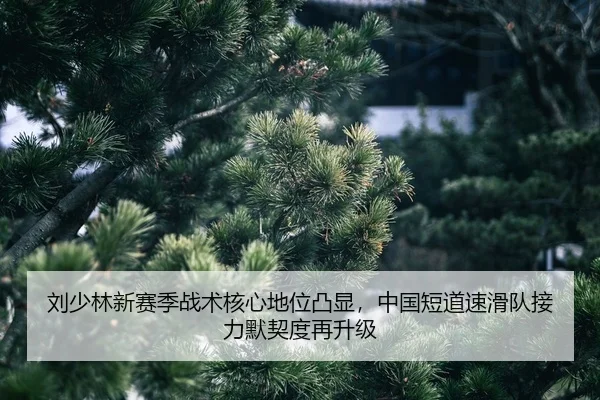 liu-shao-lin-xin-sai-ji-zhan-shu-he-xin-di-wei-tu-xian-zhong-guo-duan-dao-su-hua-dui-jie-li-mo-qi-du-zai-sheng-ji-2-170.jpg