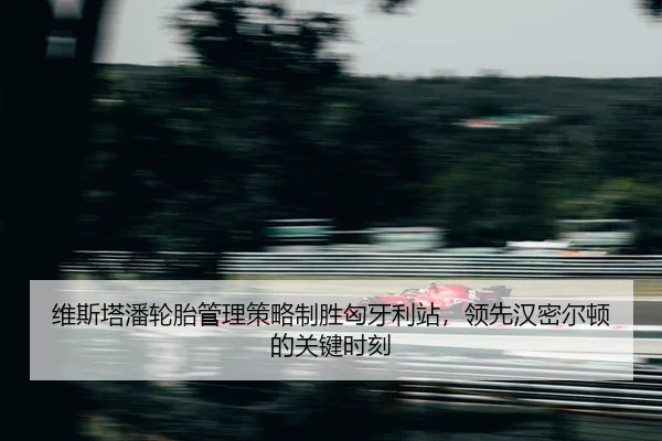 wei-si-ta-pan-lun-tai-guan-li-ce-lve-zhi-sheng-xiong-ya-li-zhan-ling-xian-han-mi-er-dun-de-guan-jian-shi-ke-2-309.jpg