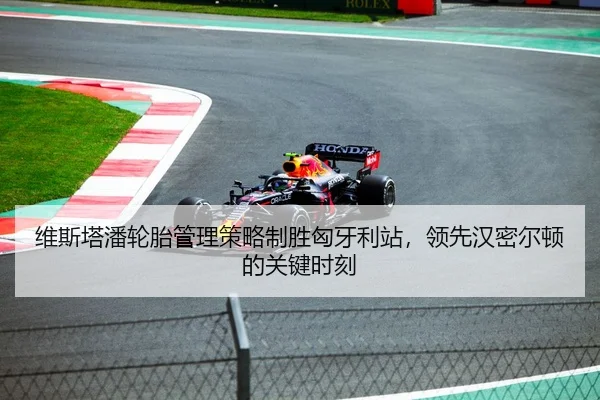 维斯塔潘轮胎管理策略制胜匈牙利站，领先汉密尔顿的关键时刻